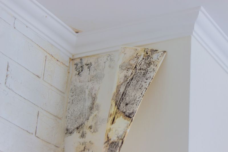 Air Duct Mold Removal in Fort Worth, TX