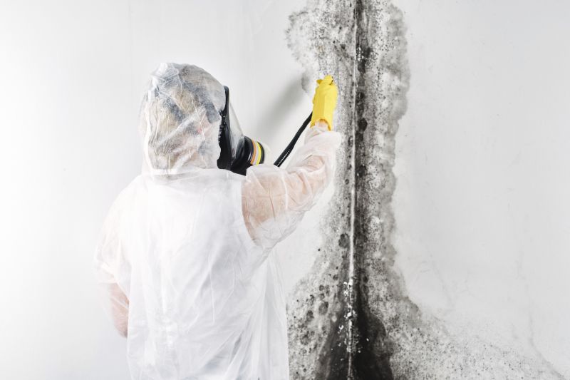 Air Duct Mold Removal in Broward County, FL