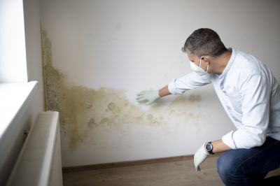 Attic Mold Remediation in Frisco, TX