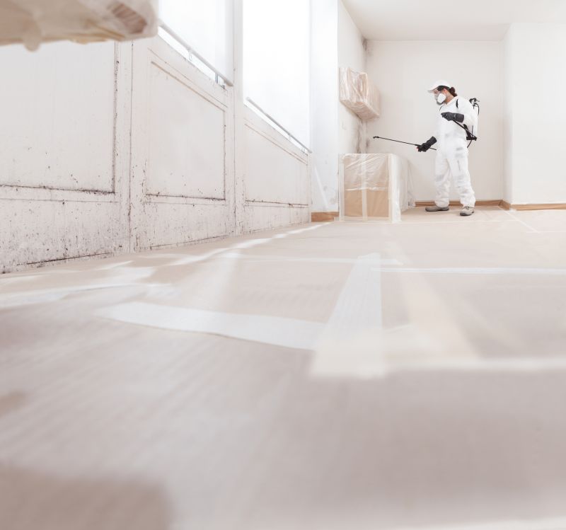 Attic Mold Remediation in Fort Worth, TX