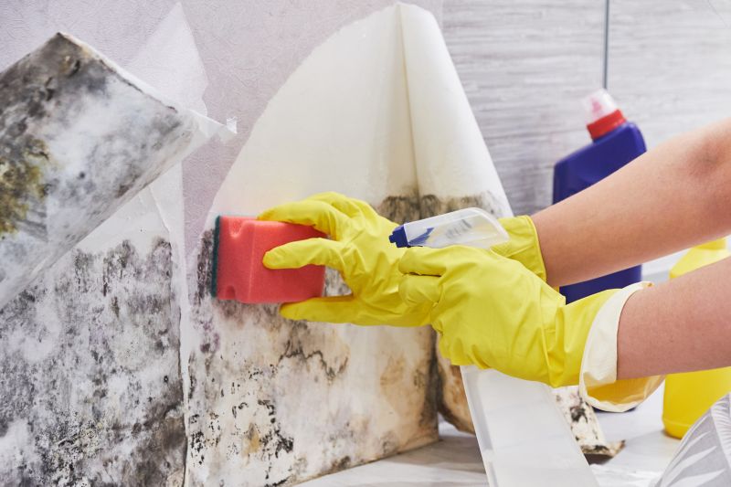 Attic Mold Remediation in Broward County, FL