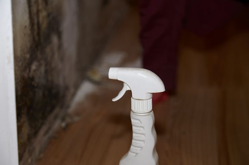 Attic Mold Removal in Dallas, TX
