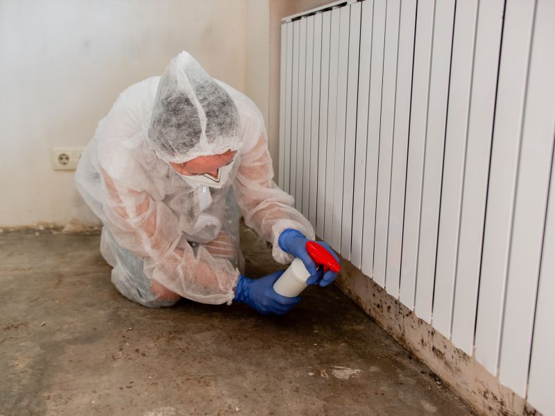 Basement Mold Removal in West Palm Beach, FL