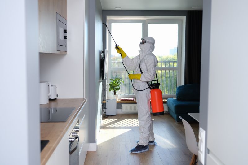 Crawl Space Mold Removal in Jupiter, FL