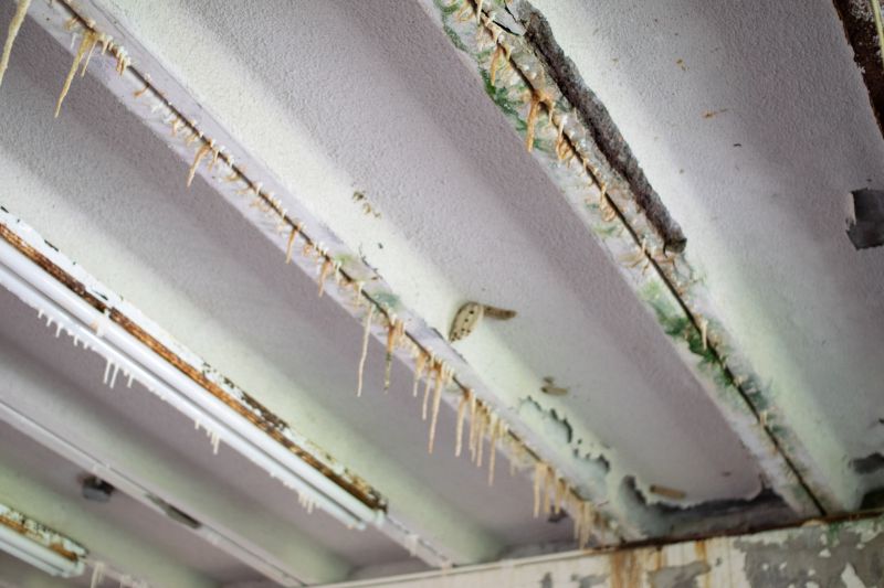Asbestos Encapsulation detail