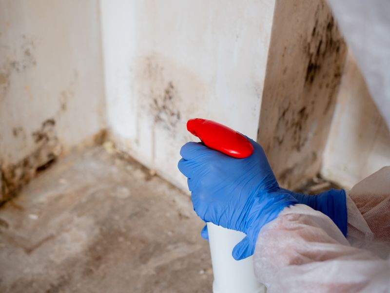 Garage Mold Remediation in Fort Lauderdale, FL