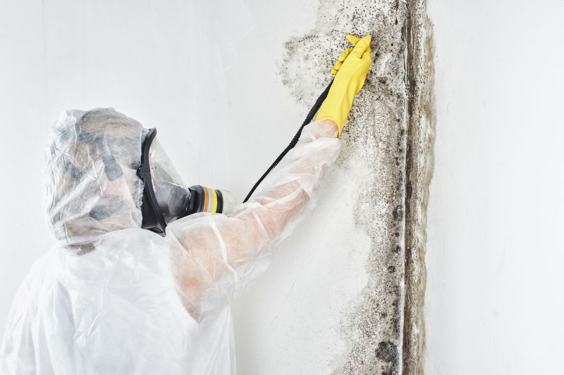 Mold Abatement in Jupiter, FL