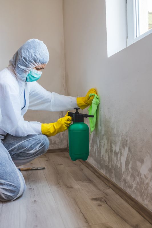 Mold Cleanup Service in Frisco, TX