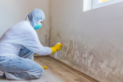 Mold Mitigation Service in Frisco, TX
