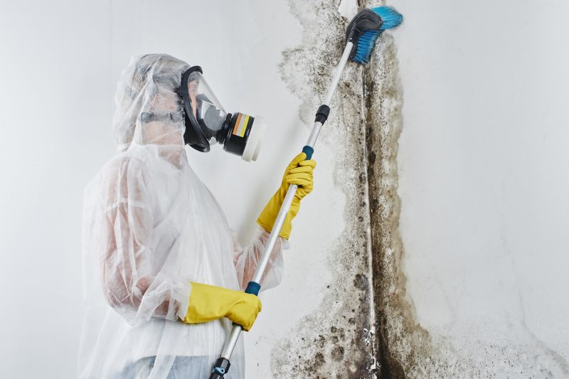 Mold Mitigation Service in West Palm Beach, FL