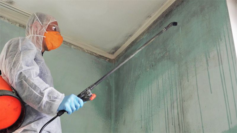 Mold Removal in Jupiter, FL