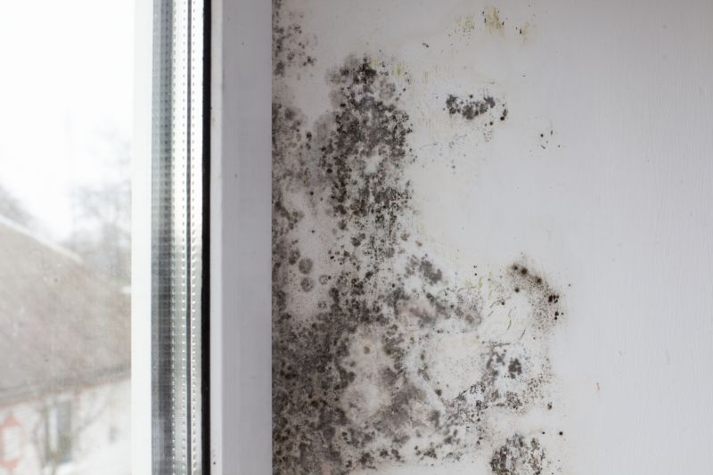 Mold Restoration in Jupiter, FL