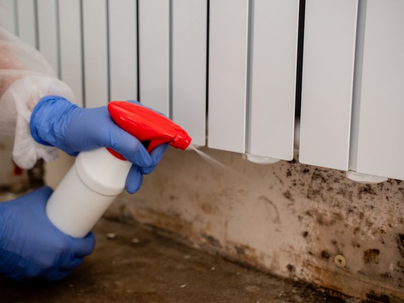 Mold Restoration in Essex County, NJ