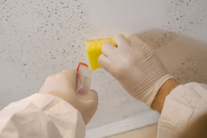 White Mold Mitigation in Fort Lauderdale, FL