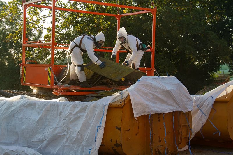 Asbestos Removal Service