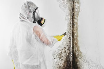Mold Cleanup Service in Frisco, TX