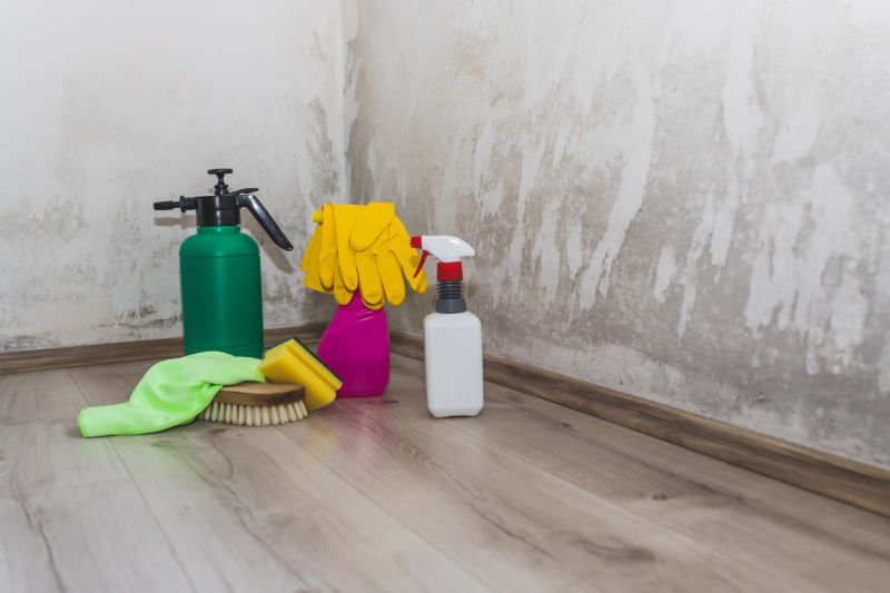 Mold Remediation Service in Boca Raton, FL