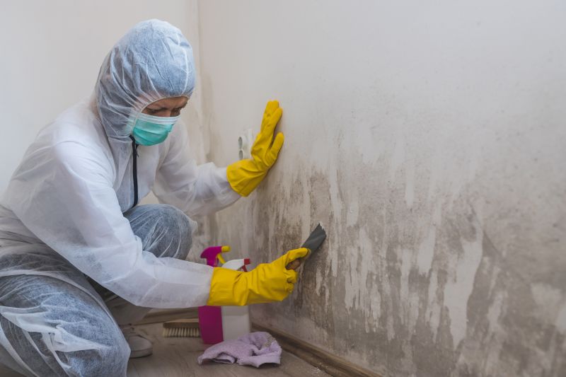 Mold Removal in West Palm Beach, FL